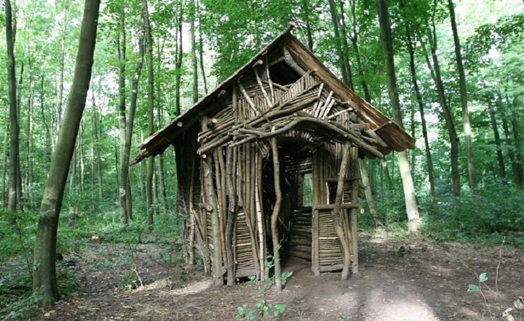 forest-house