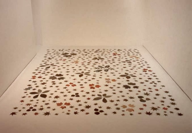 Carpet-of-Leaves-2003-4