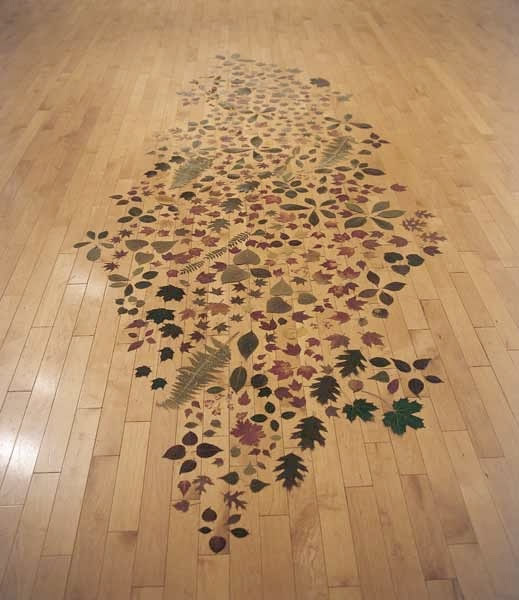 Carpet-of-Leaves-2003