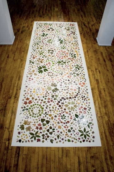 Carpet-of-Leaves-2008